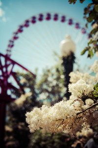 navy pier bokeh