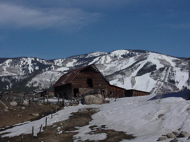 Steamboat Barn Mavica
